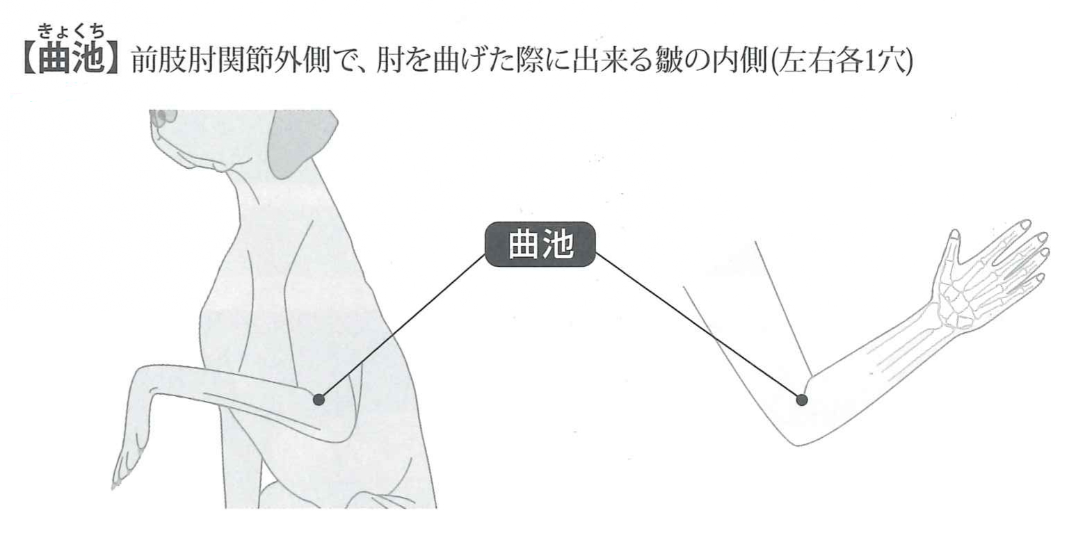 犬の肩こり対策ツボマッサージポイントのイラスト