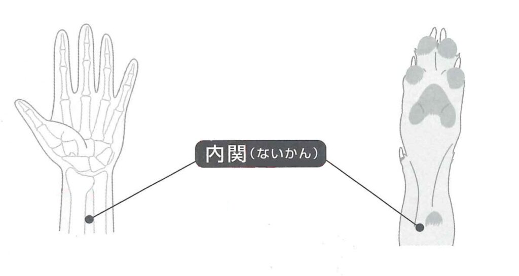 内関ツボの解説イラスト
